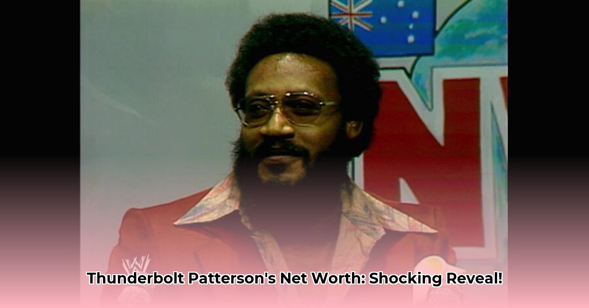 what-is-thunderbolt-patterson-net-worth